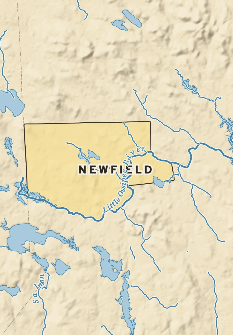 Atlas plate of Newfield, Maine.
