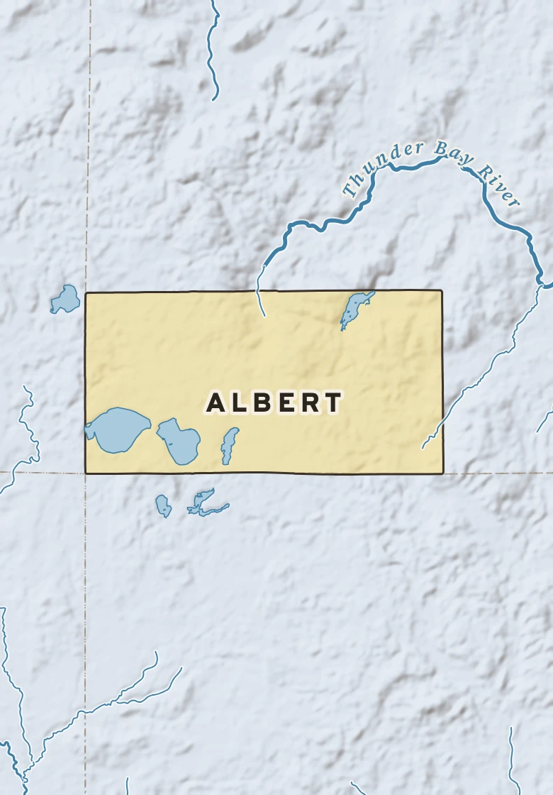 Atlas plate of Albert, Michigan.