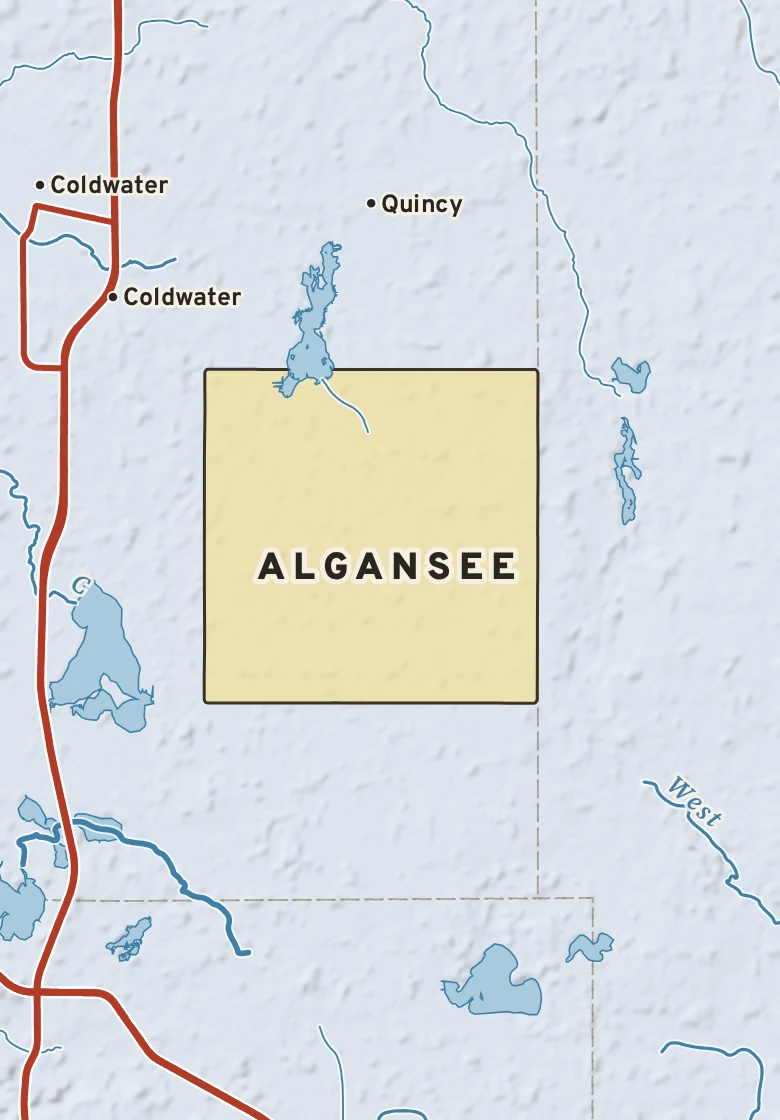 Atlas plate of Algansee, Michigan.