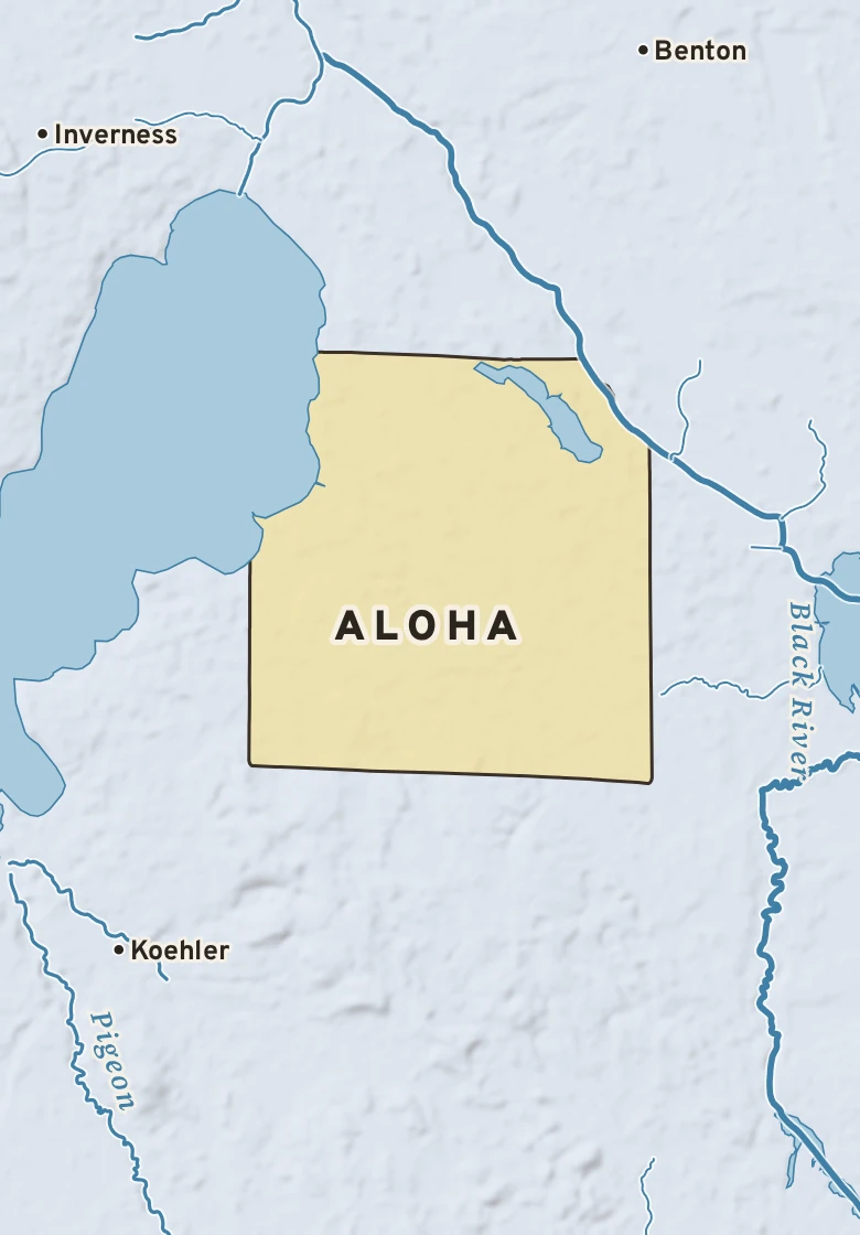 Atlas plate of Aloha, Michigan.