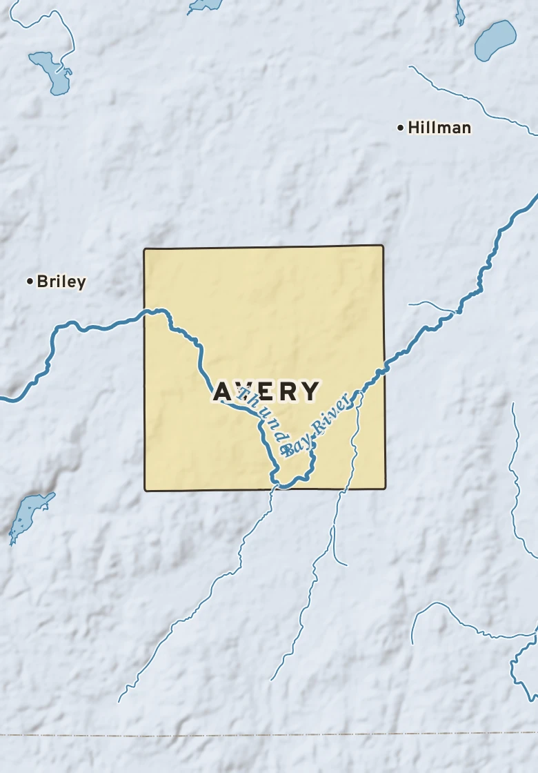 Atlas plate of Avery, Michigan.