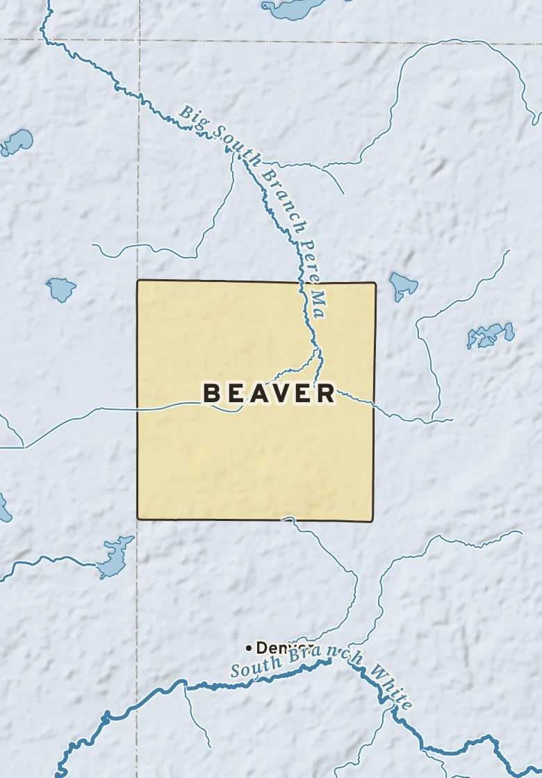 Atlas plate of Beaver, Michigan.