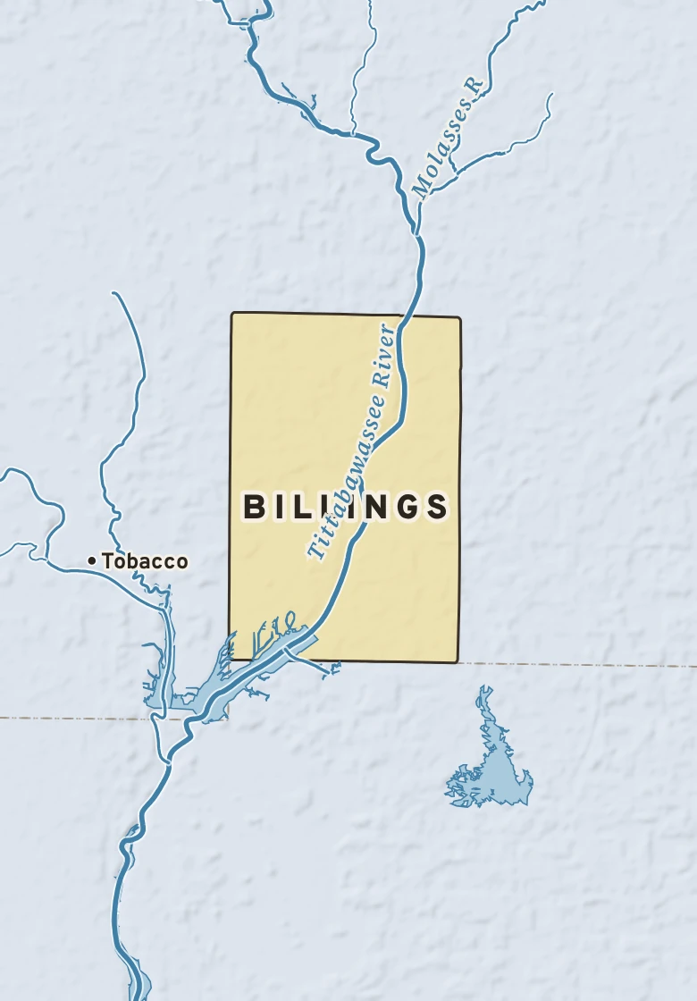 Atlas plate of Billings, Michigan.