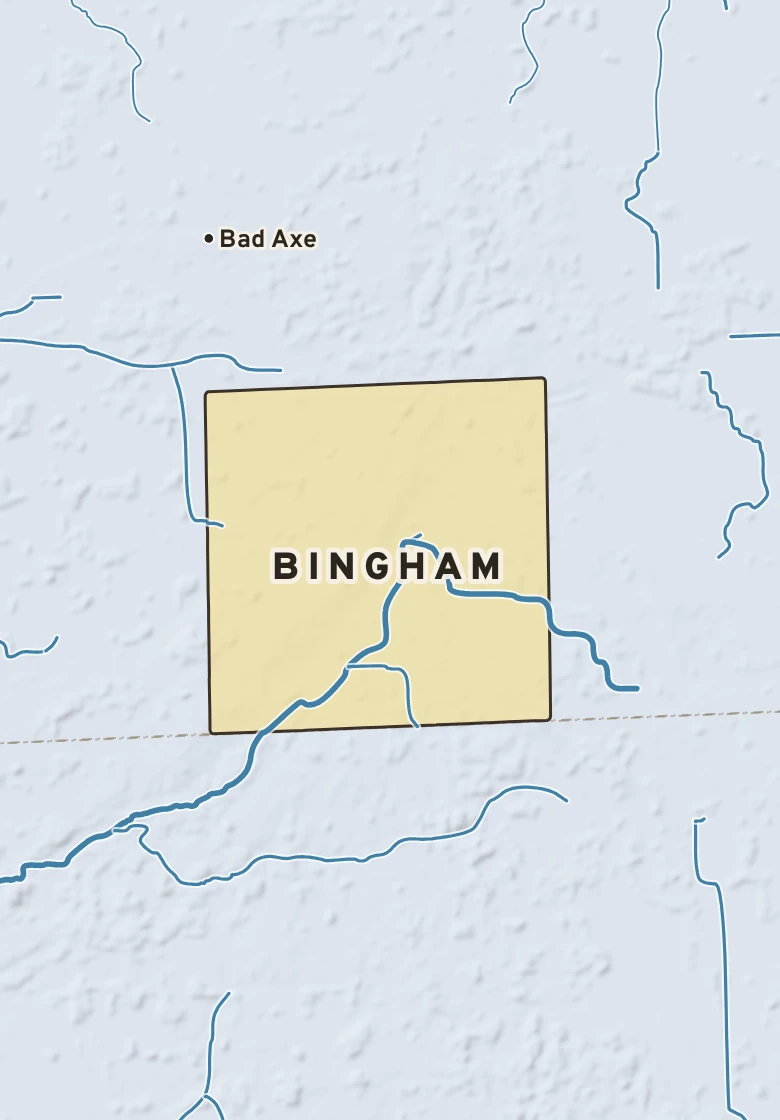 Atlas plate of Bingham, Michigan.