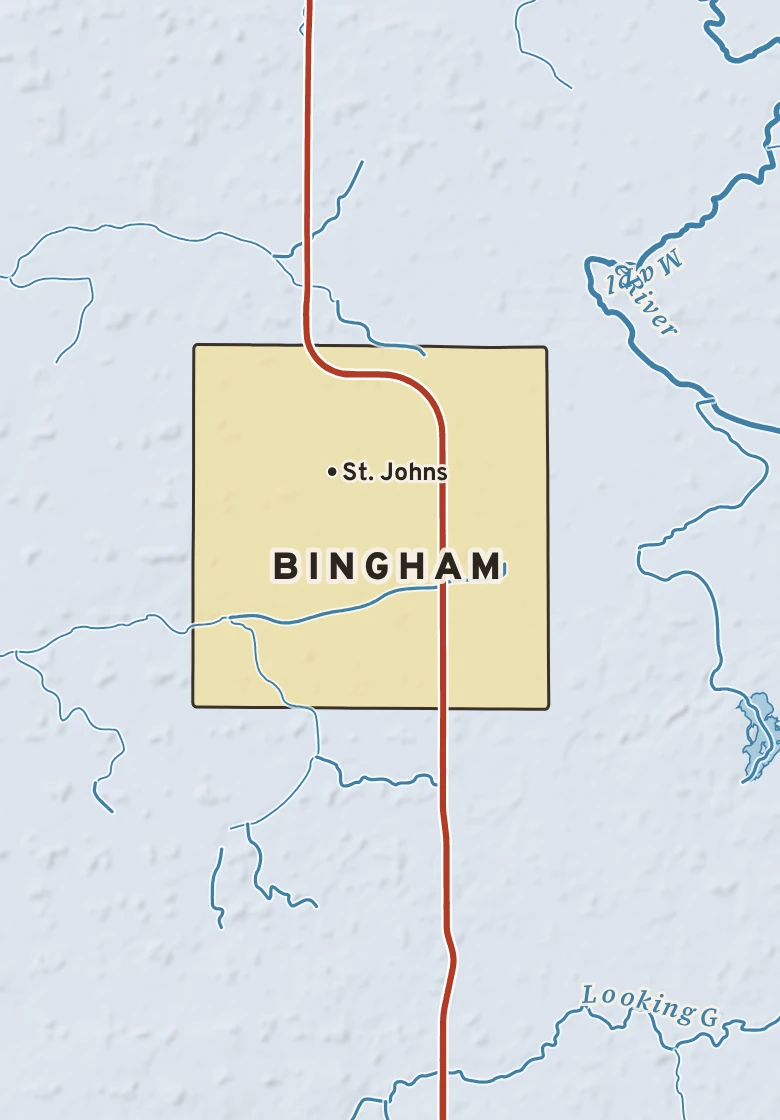 Atlas plate of Bingham, Michigan.