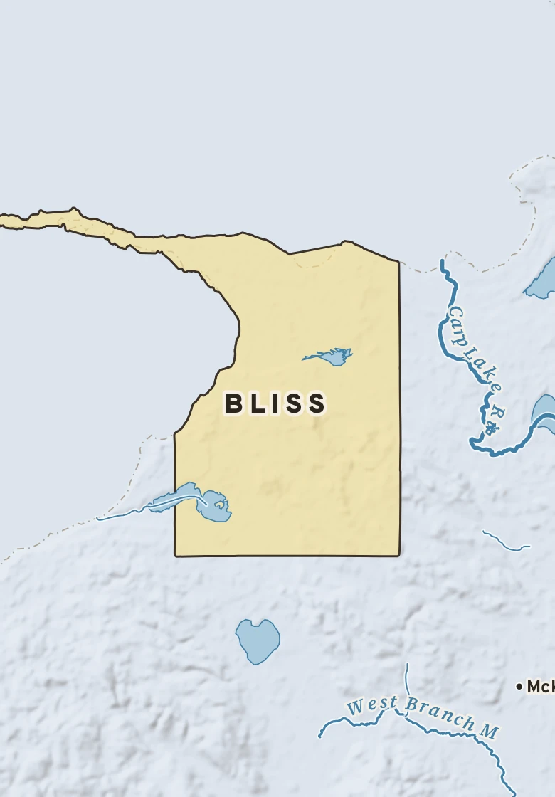 Atlas plate of Bliss, Michigan.