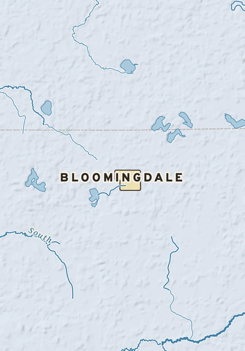 Atlas plate of Bloomingdale, Michigan.