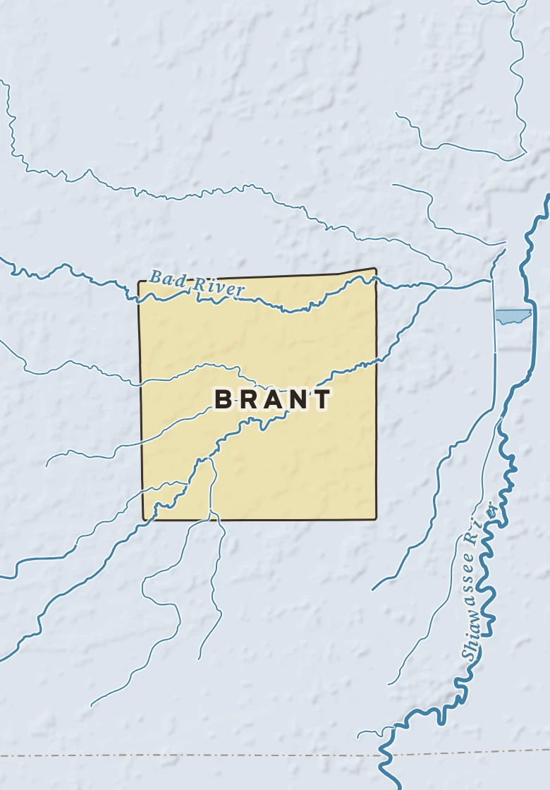 Atlas plate of Brant, Michigan.