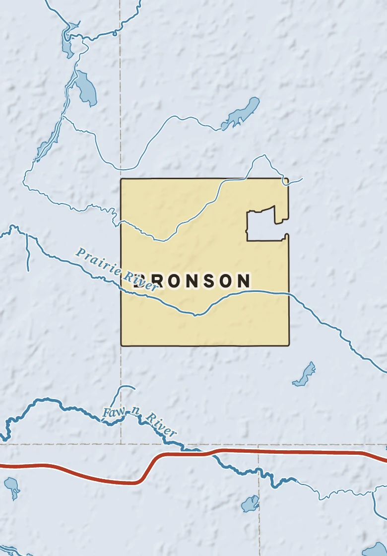 Atlas plate of Bronson, Michigan.