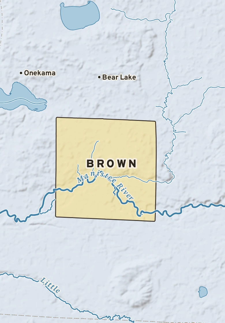 Atlas plate of Brown, Michigan.