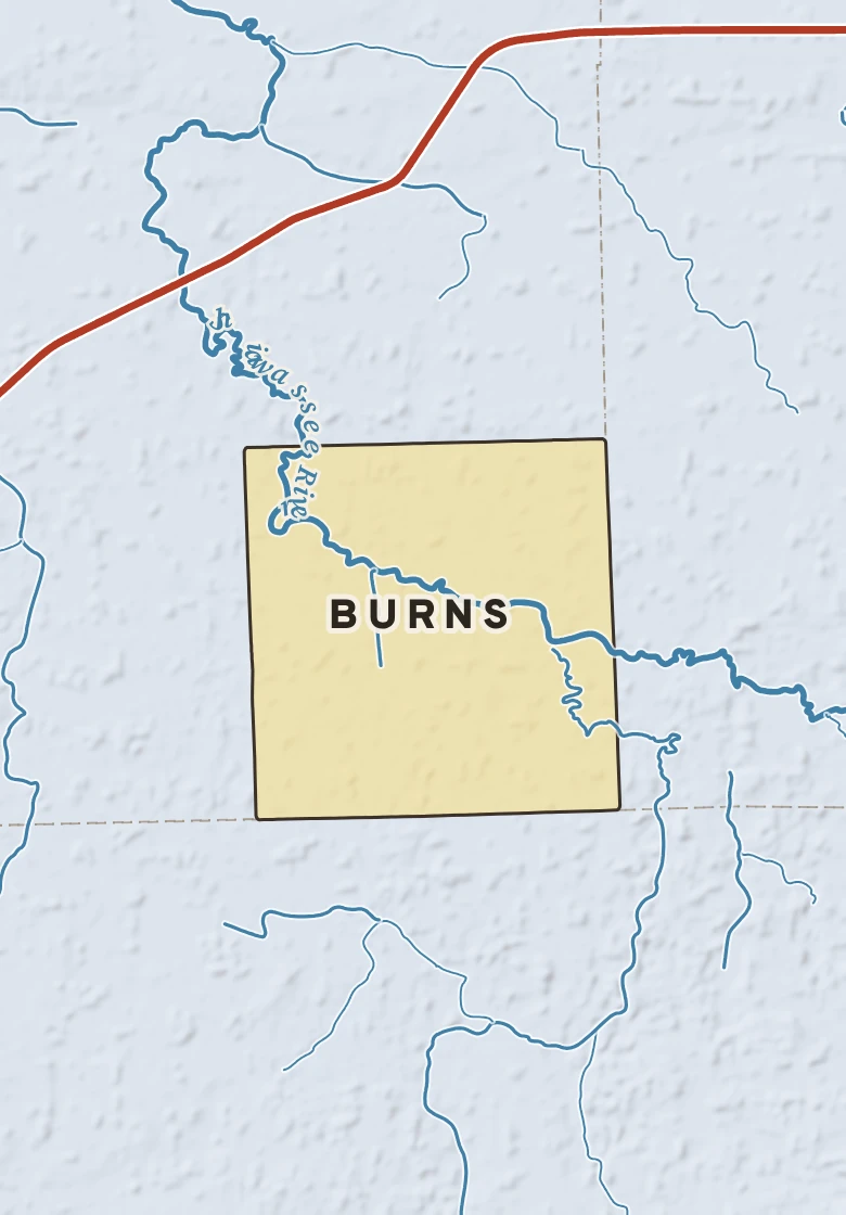 Atlas plate of Burns, Michigan.