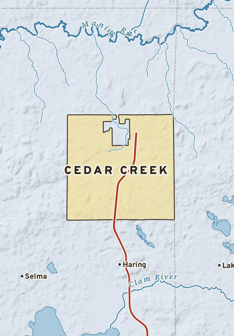 Atlas plate of Cedar Creek, Michigan.