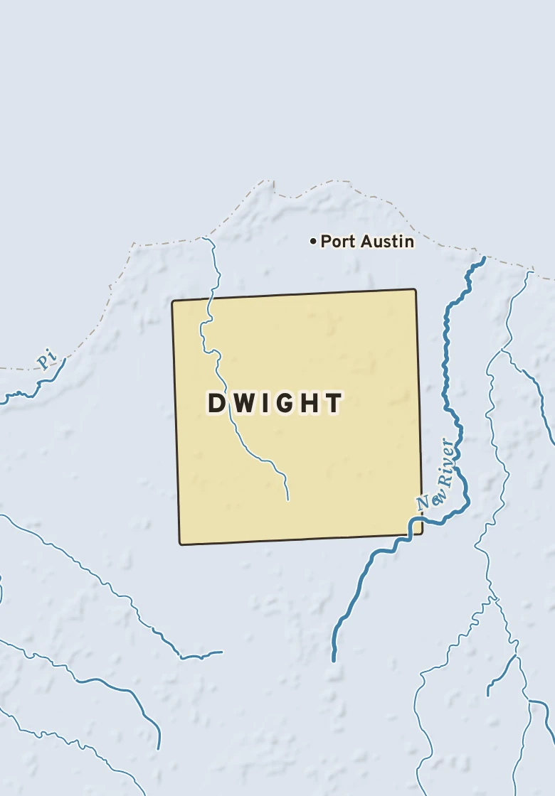 Atlas plate of Dwight, Michigan.
