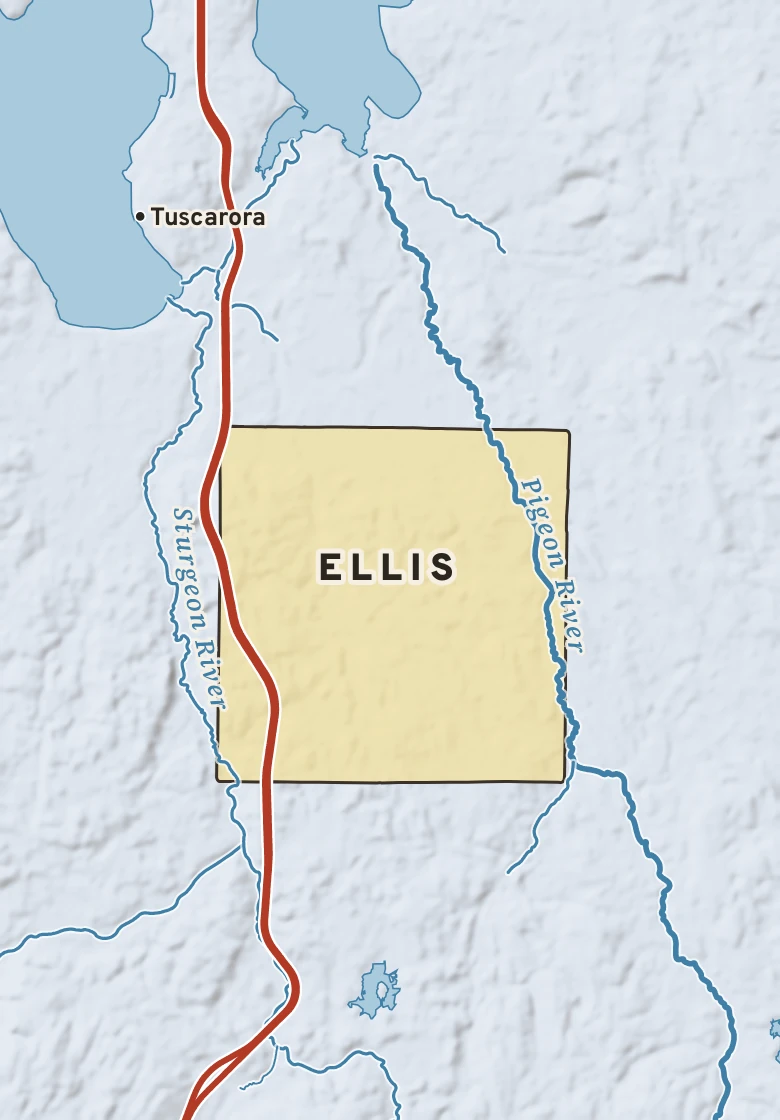 Atlas plate of Ellis, Michigan.