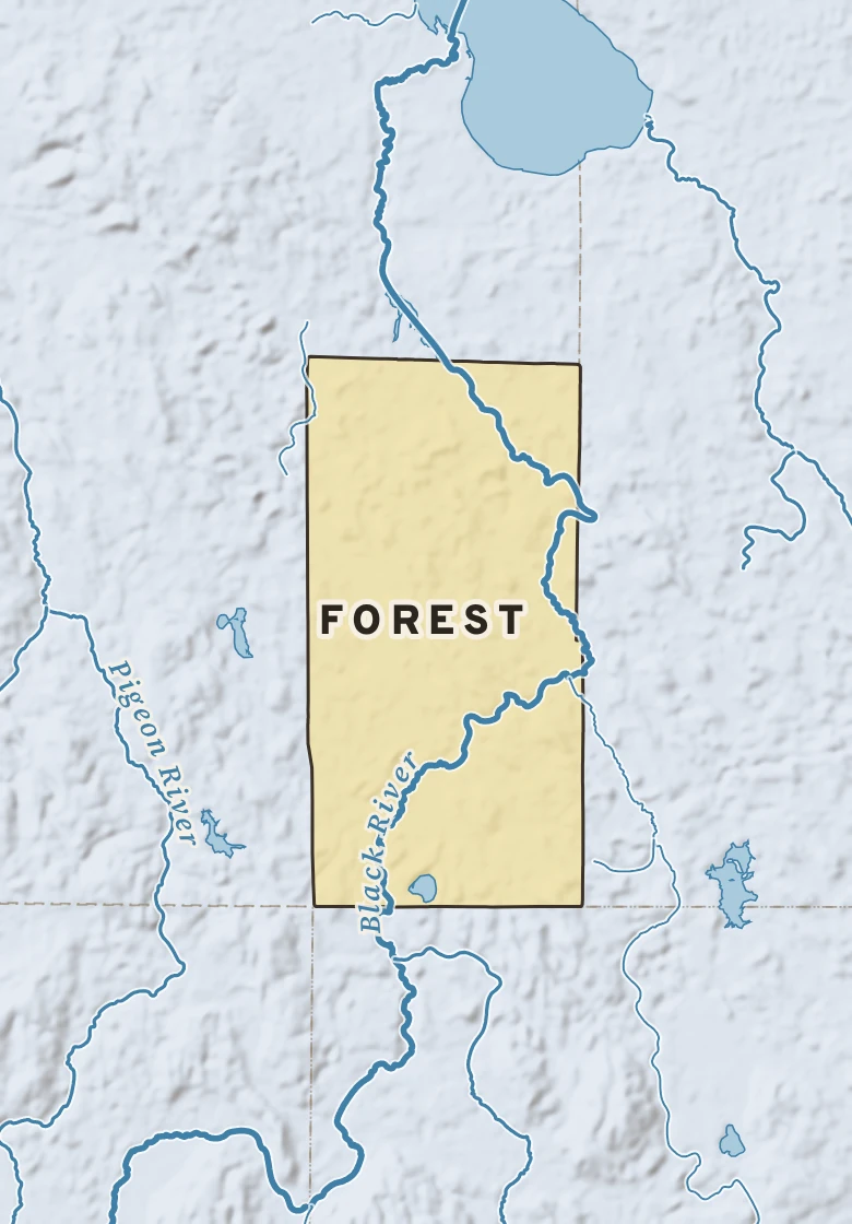 Atlas plate of Forest, Michigan.