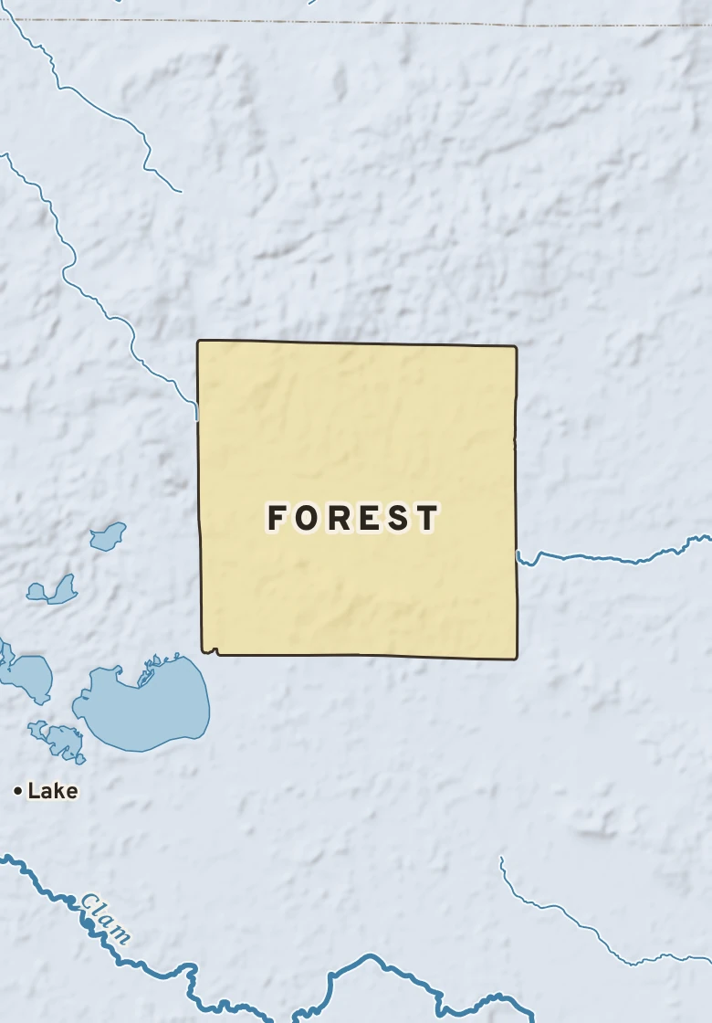 Atlas plate of Forest, Michigan.