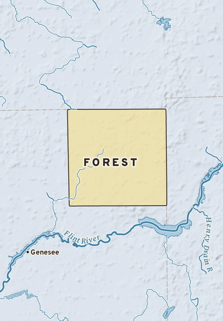 Atlas plate of Forest, Michigan.