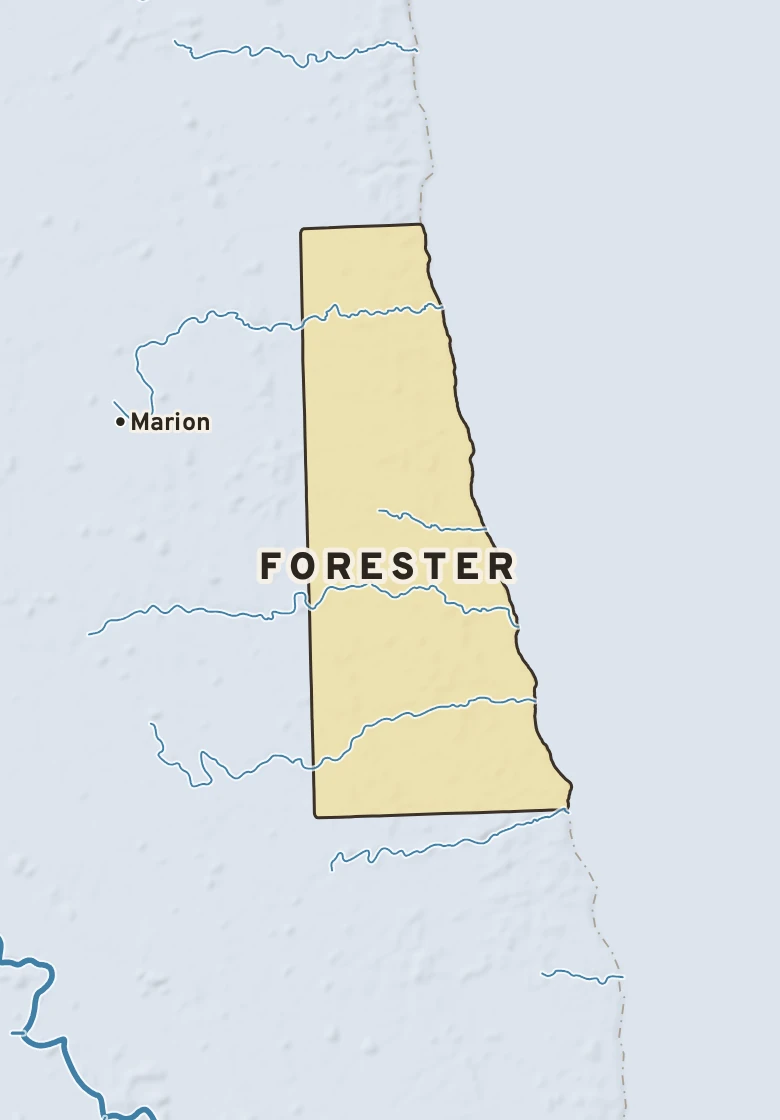 Atlas plate of Forester, Michigan.