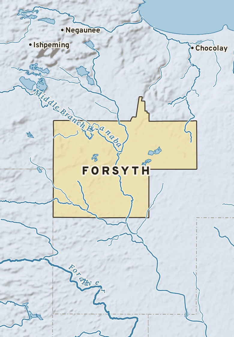 Atlas plate of Forsyth, Michigan.