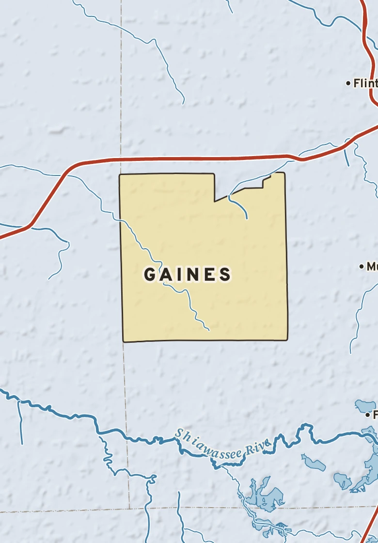 Atlas plate of Gaines, Michigan.