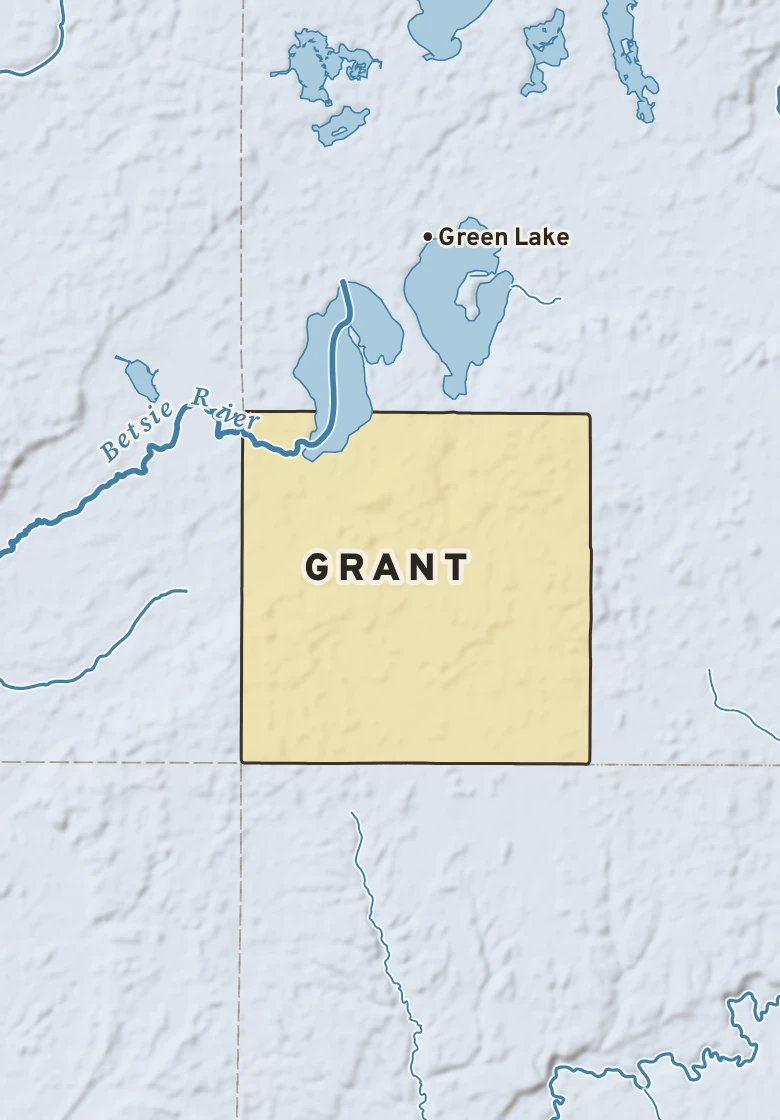 Atlas plate of Grant, Michigan.