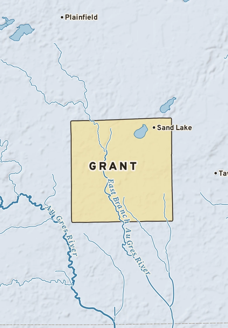 Atlas plate of Grant, Michigan.