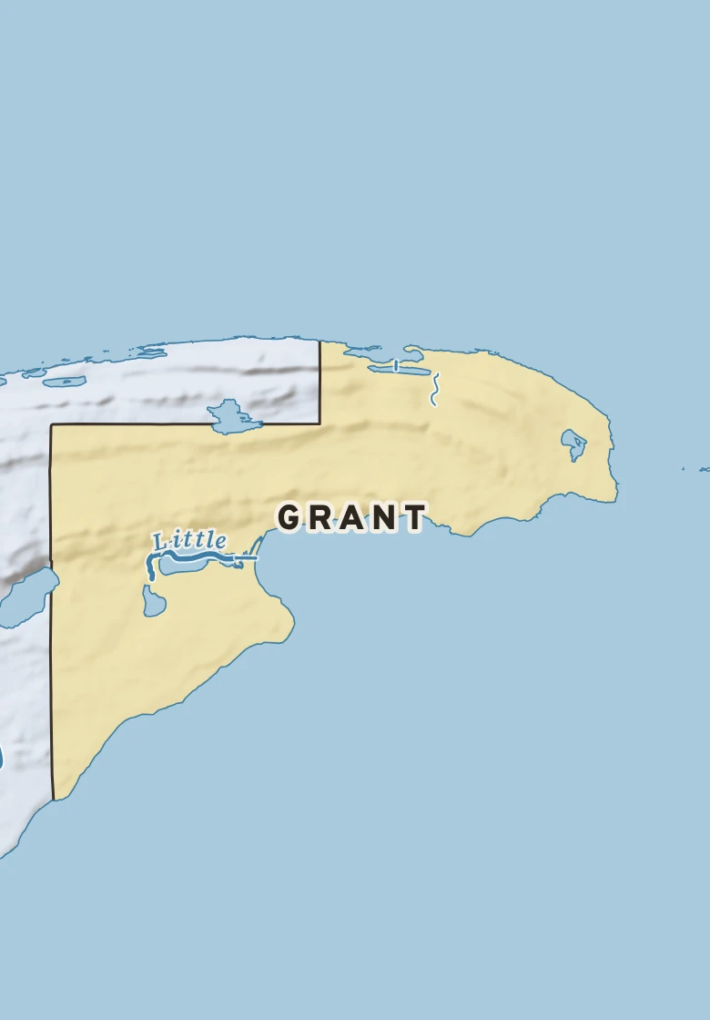 Atlas plate of Grant, Michigan.