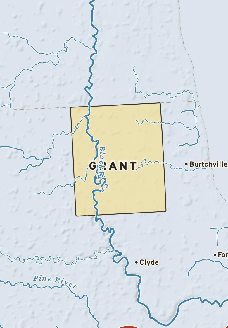 Atlas plate of Grant, Michigan.