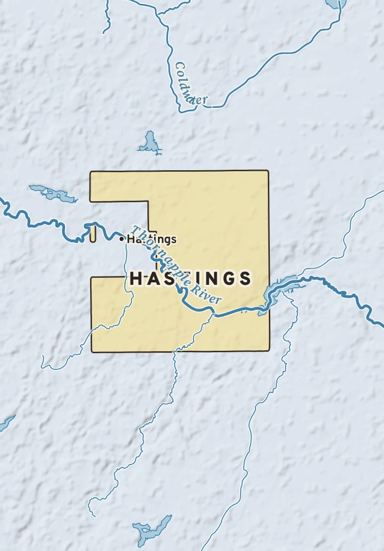 Atlas plate of Hastings, Michigan.