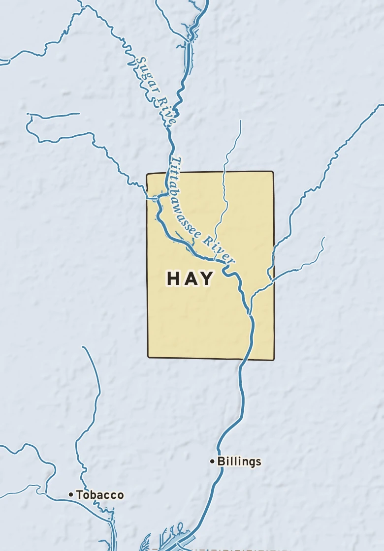 Atlas plate of Hay, Michigan.