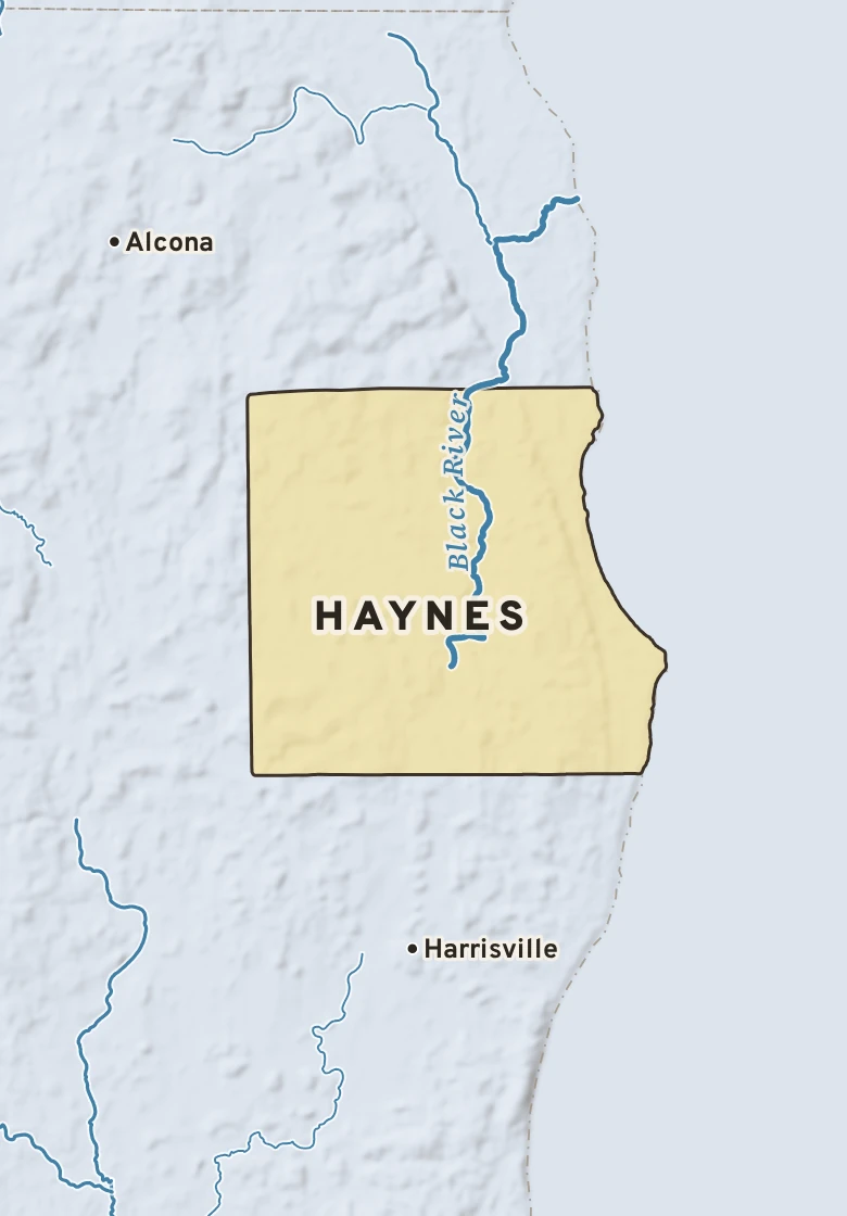 Atlas plate of Haynes, Michigan.