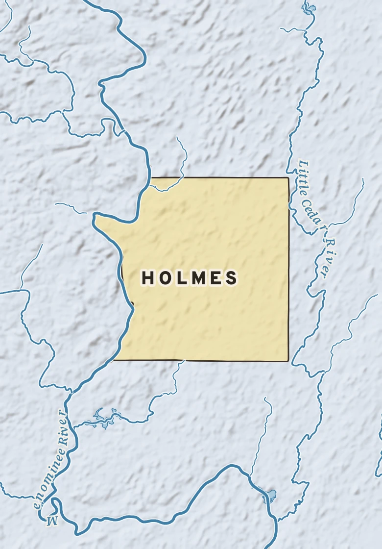 Atlas plate of Holmes, Michigan.