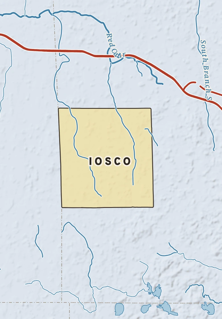 Atlas plate of Iosco, Michigan.