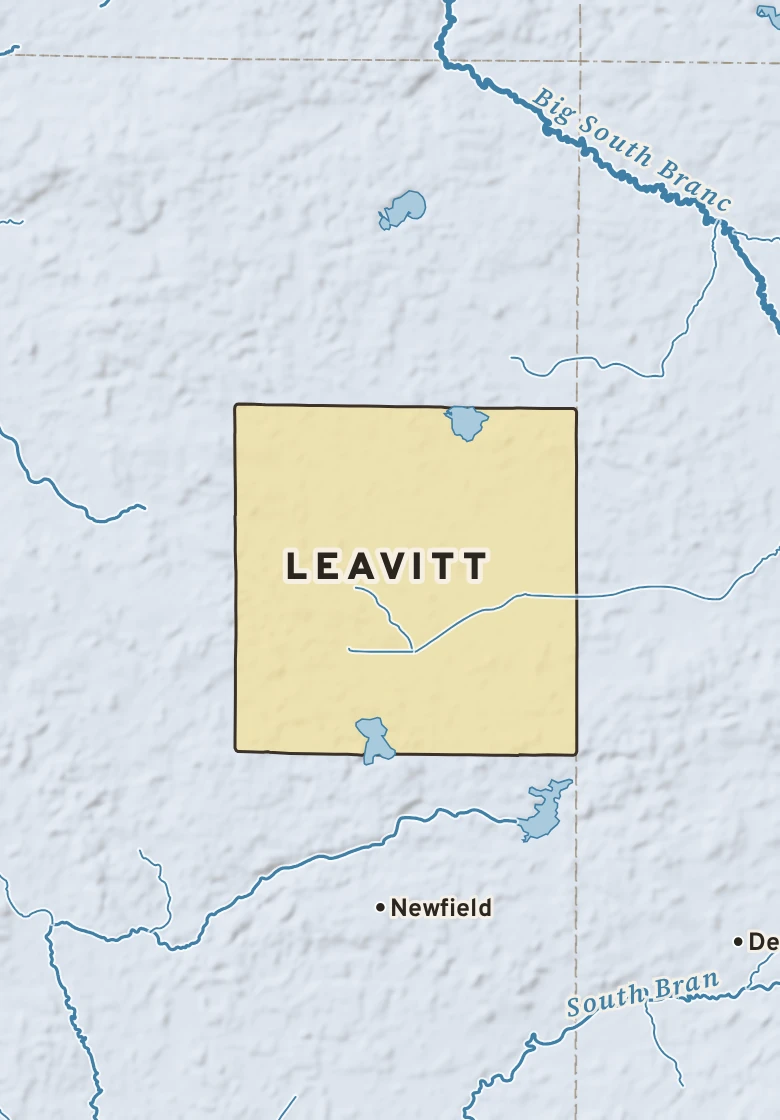 Atlas plate of Leavitt, Michigan.
