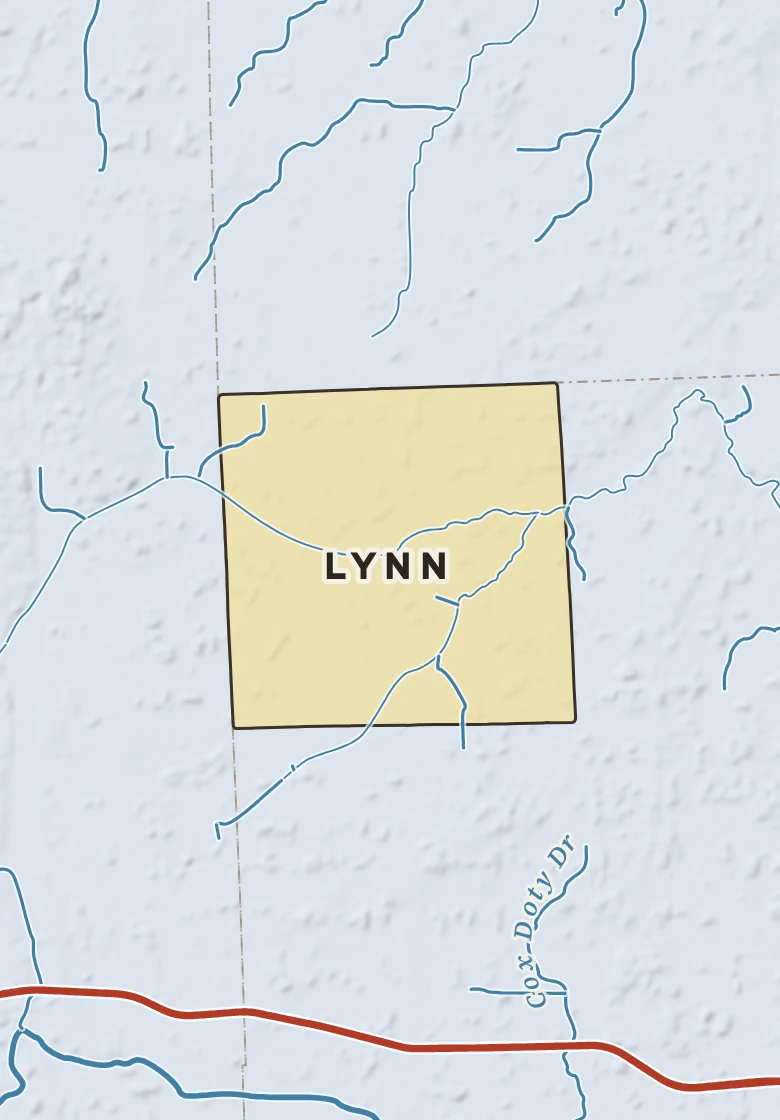 Atlas plate of Lynn, Michigan.