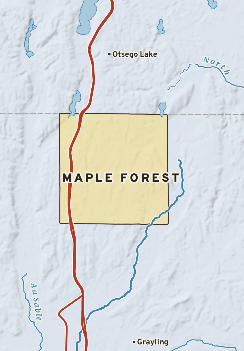 Atlas plate of Maple Forest, Michigan.
