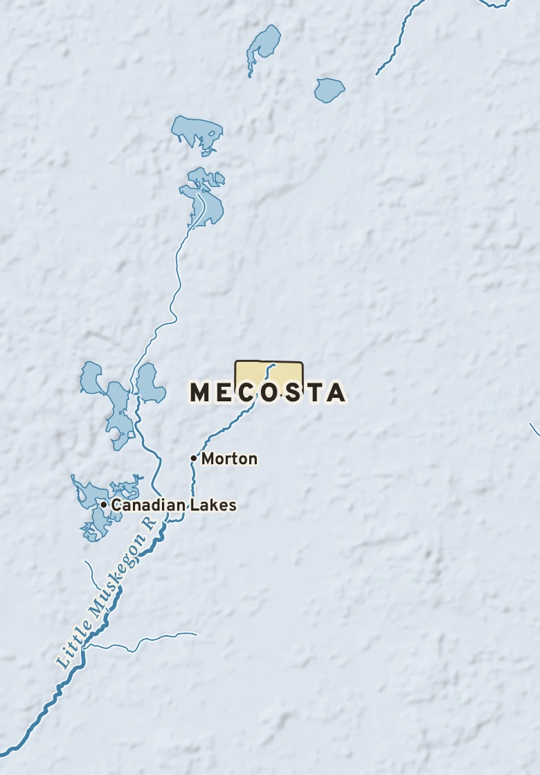 Atlas plate of Mecosta, Michigan.