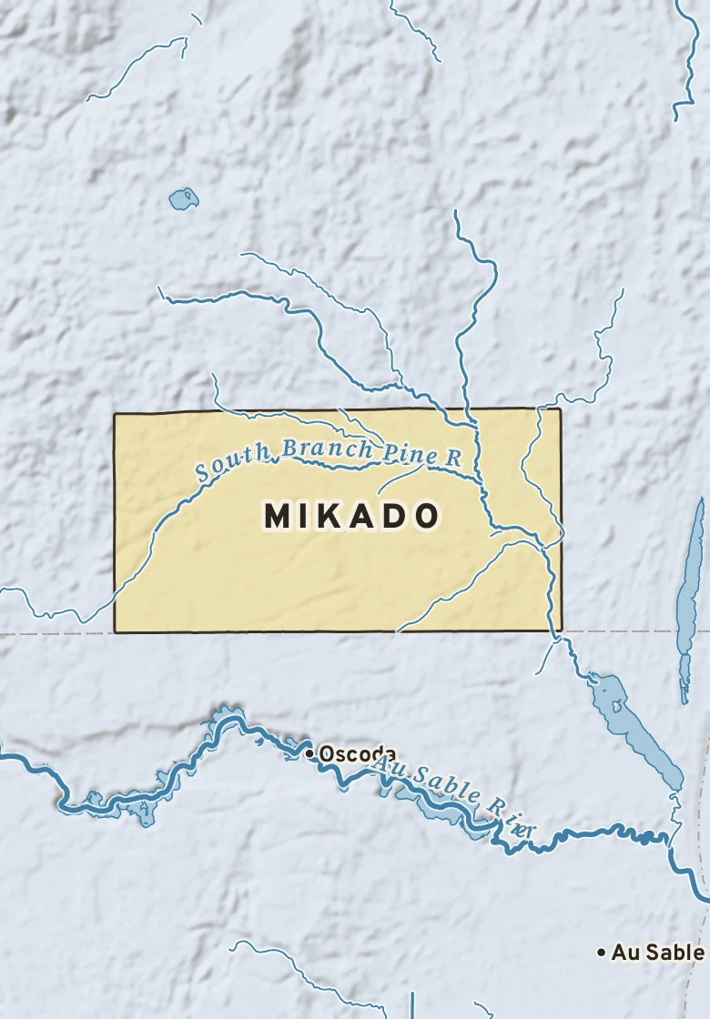 Atlas plate of Mikado, Michigan.
