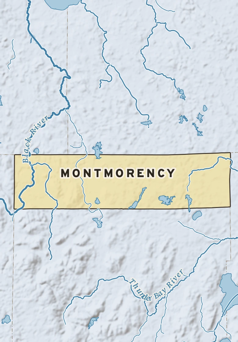 Atlas plate of Montmorency, Michigan.