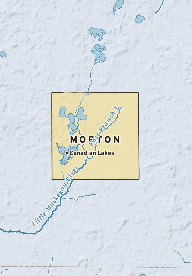 Atlas plate of Morton, Michigan.
