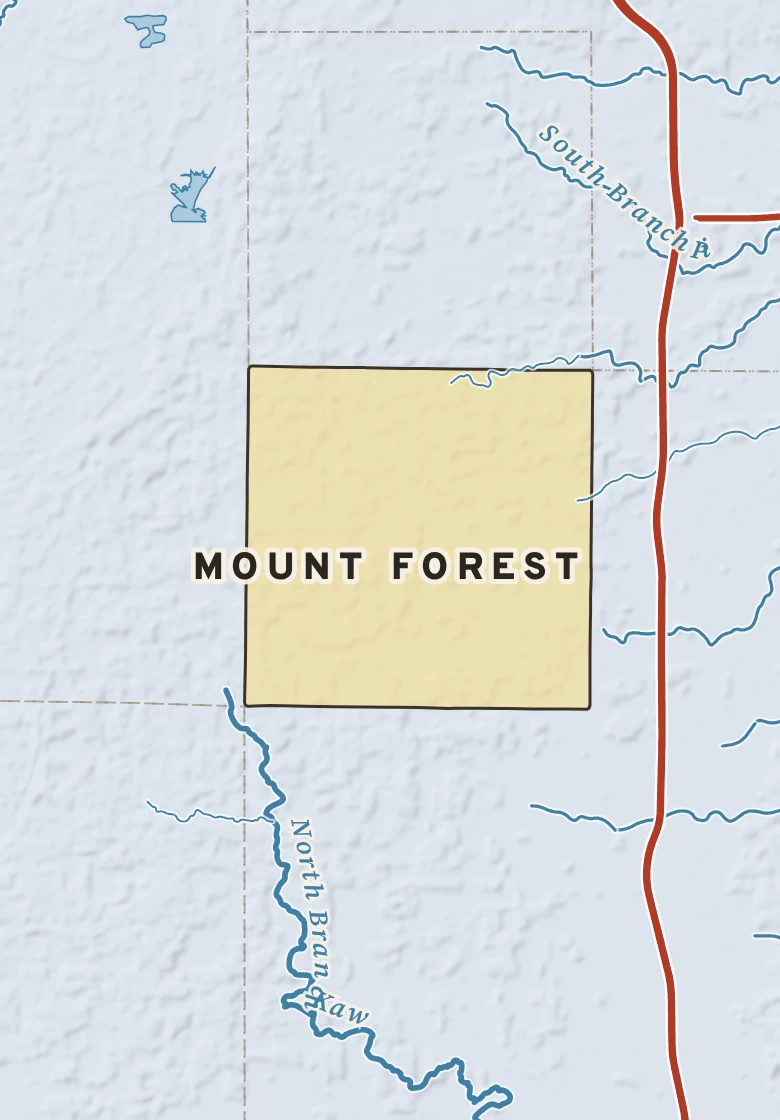Atlas plate of Mount Forest, Michigan.