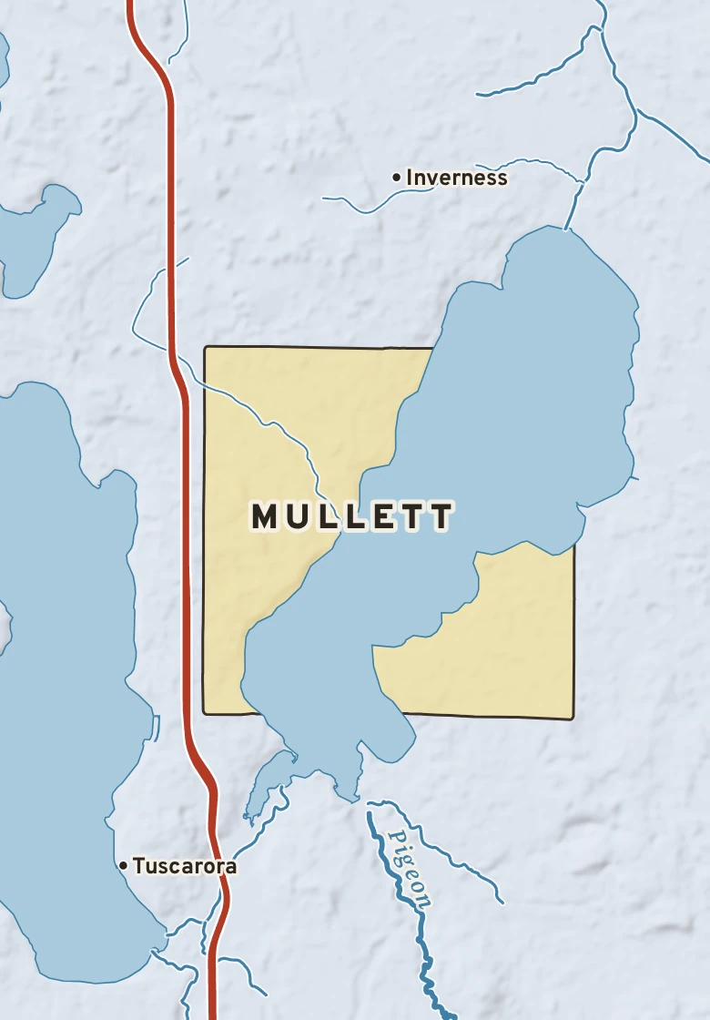 Atlas plate of Mullett, Michigan.