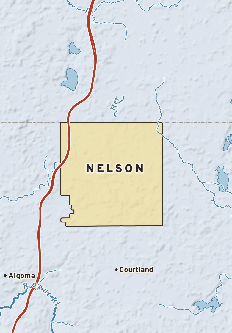 Atlas plate of Nelson, Michigan.