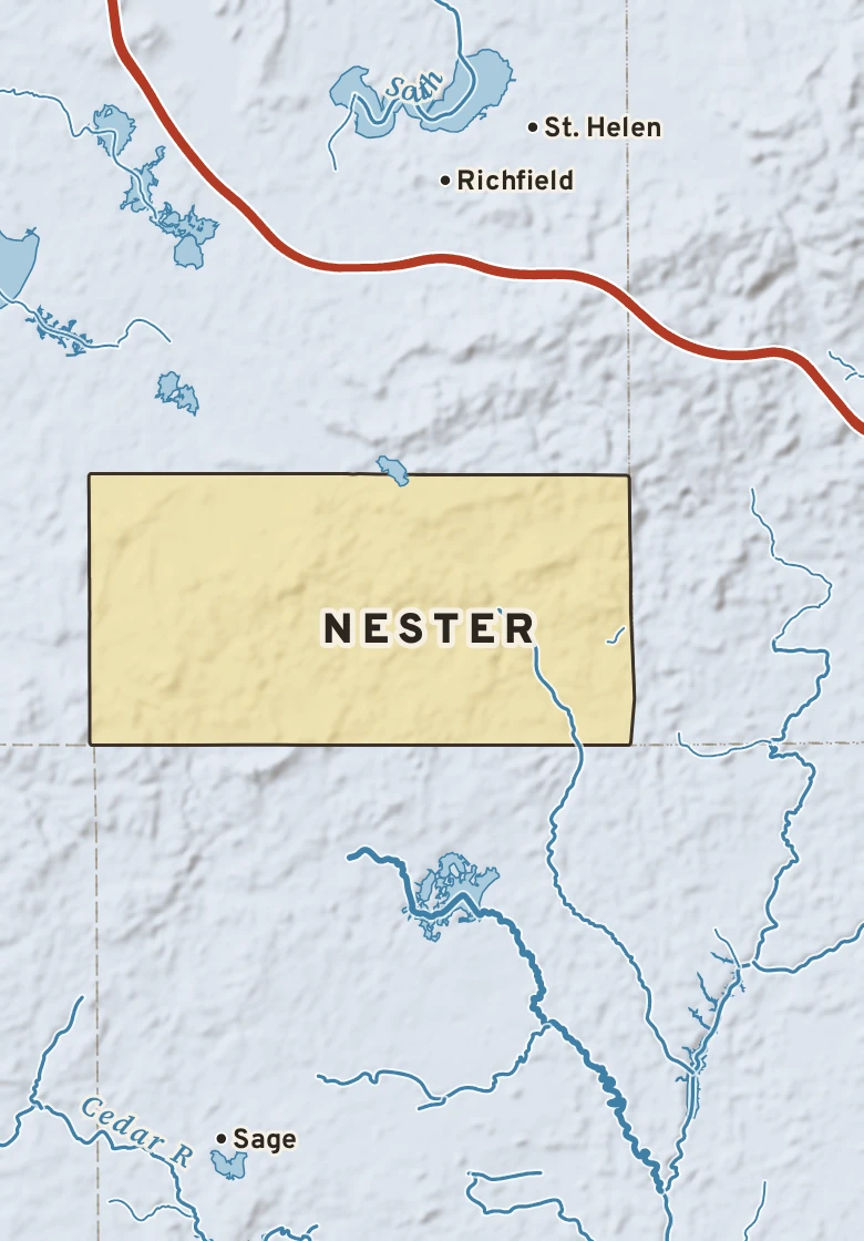 Atlas plate of Nester, Michigan.