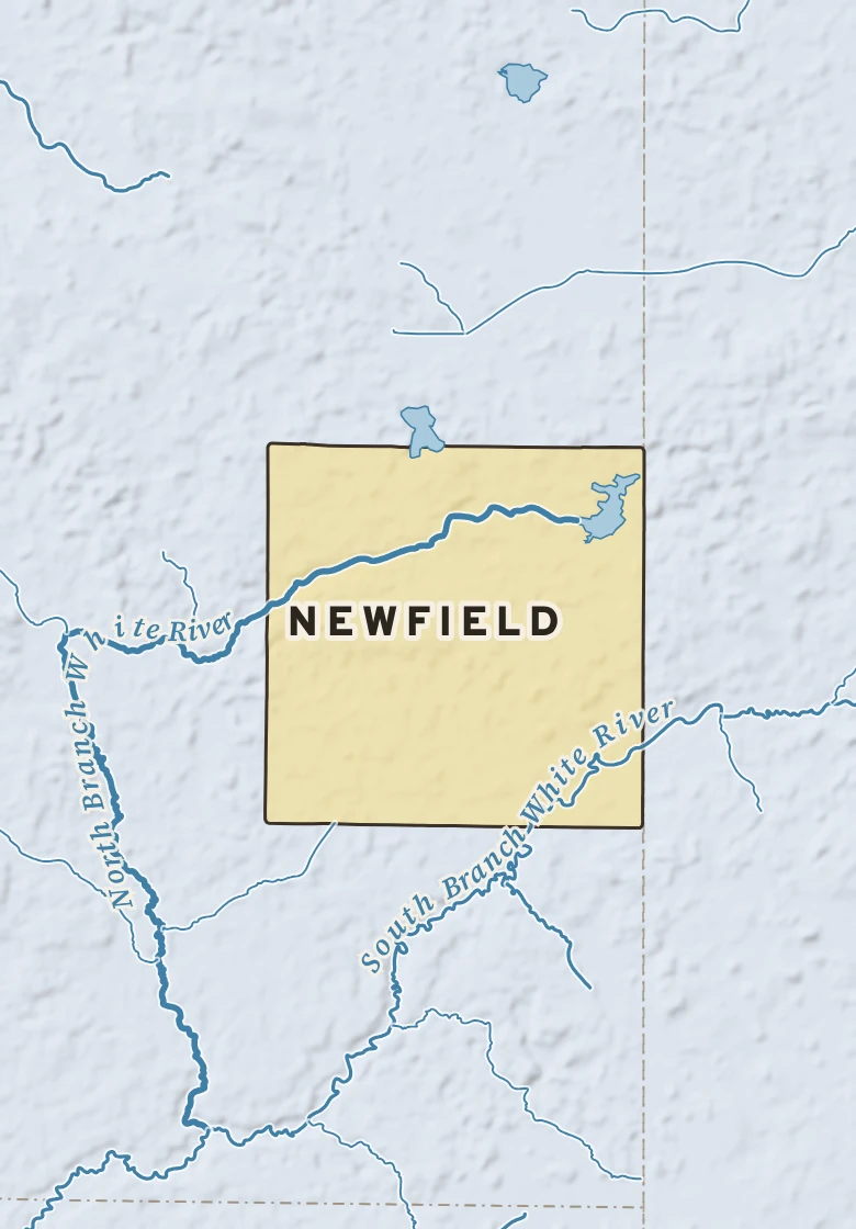 Atlas plate of Newfield, Michigan.