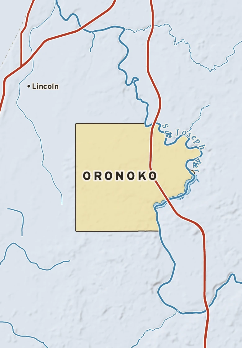 Atlas plate of Oronoko, Michigan.