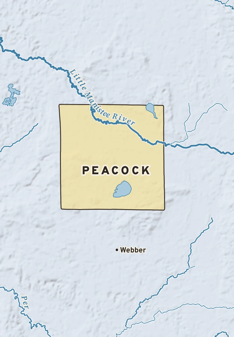 Atlas plate of Peacock, Michigan.