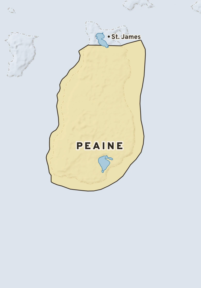 Atlas plate of Peaine, Michigan.