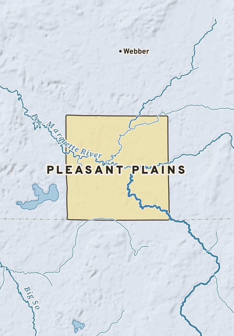 Atlas plate of Pleasant Plains, Michigan.
