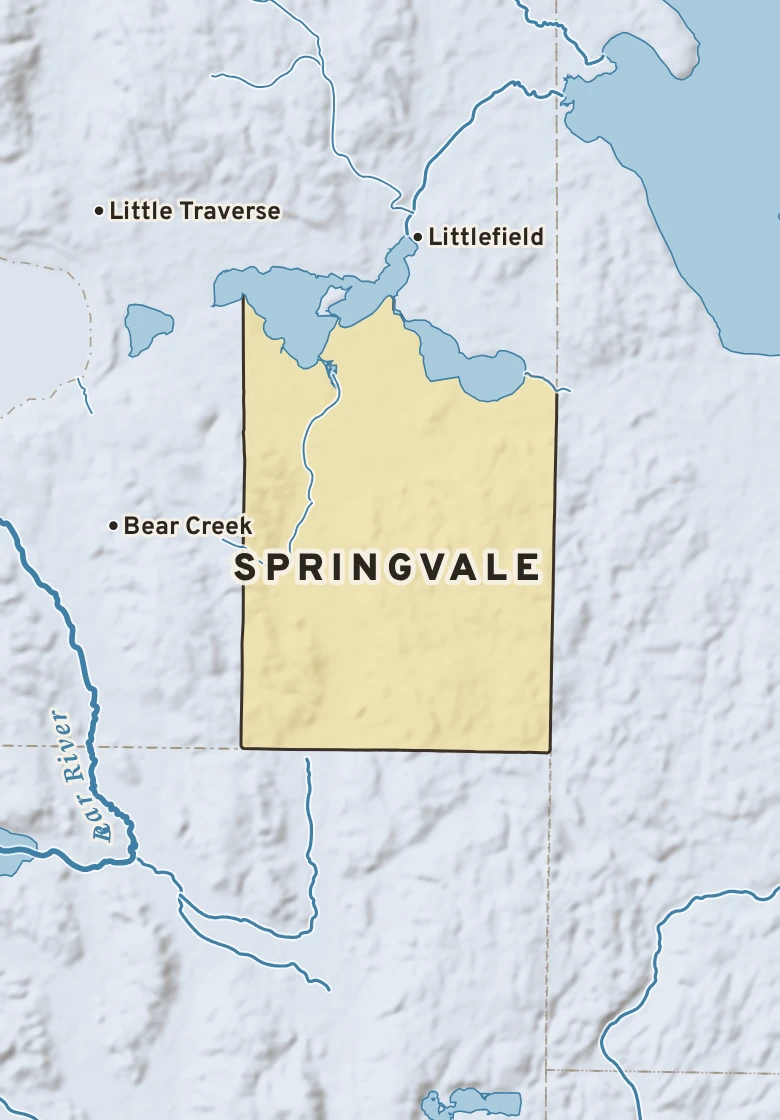 Atlas plate of Springvale, Michigan.